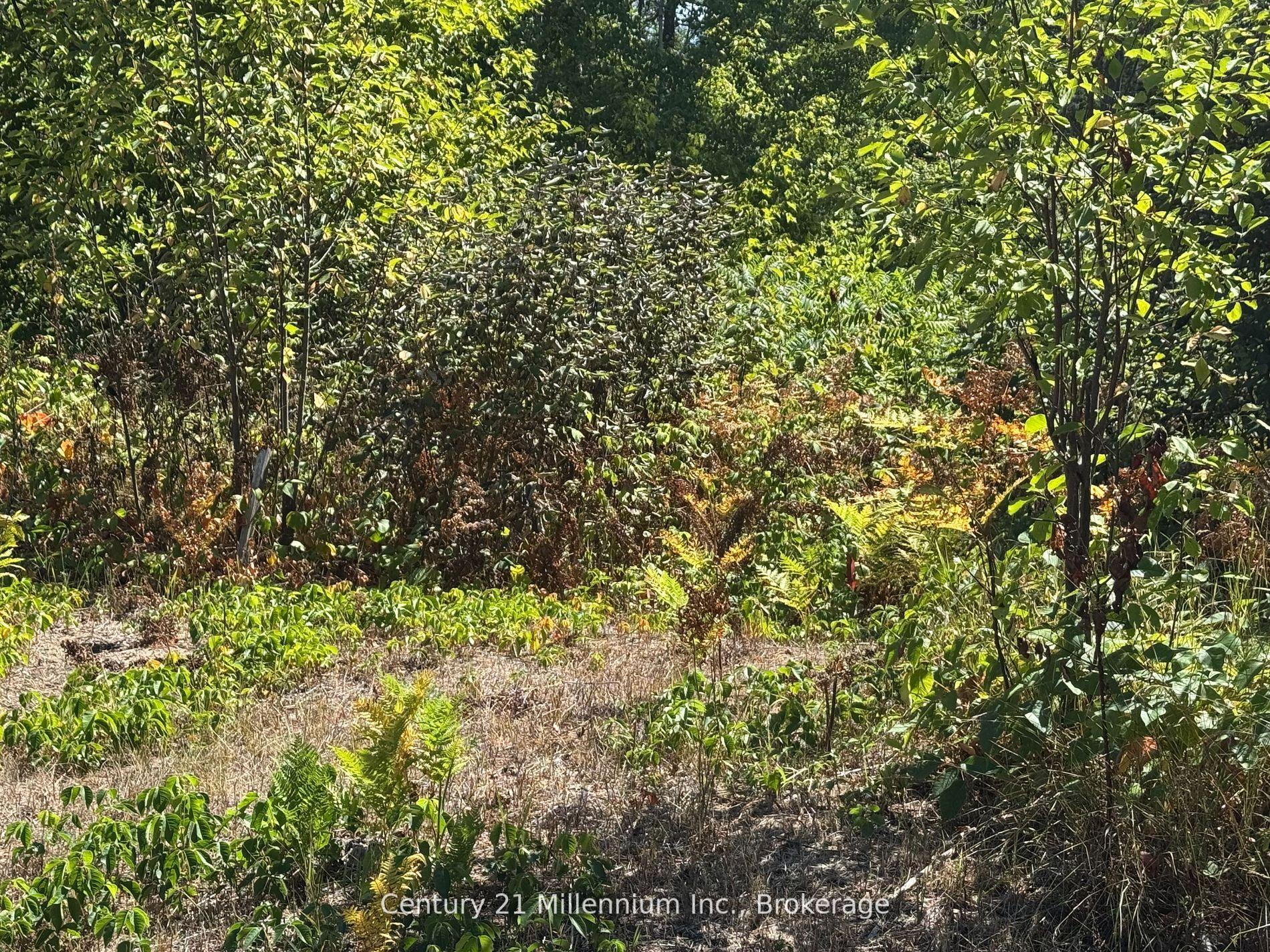 931 River Road E — photo 1