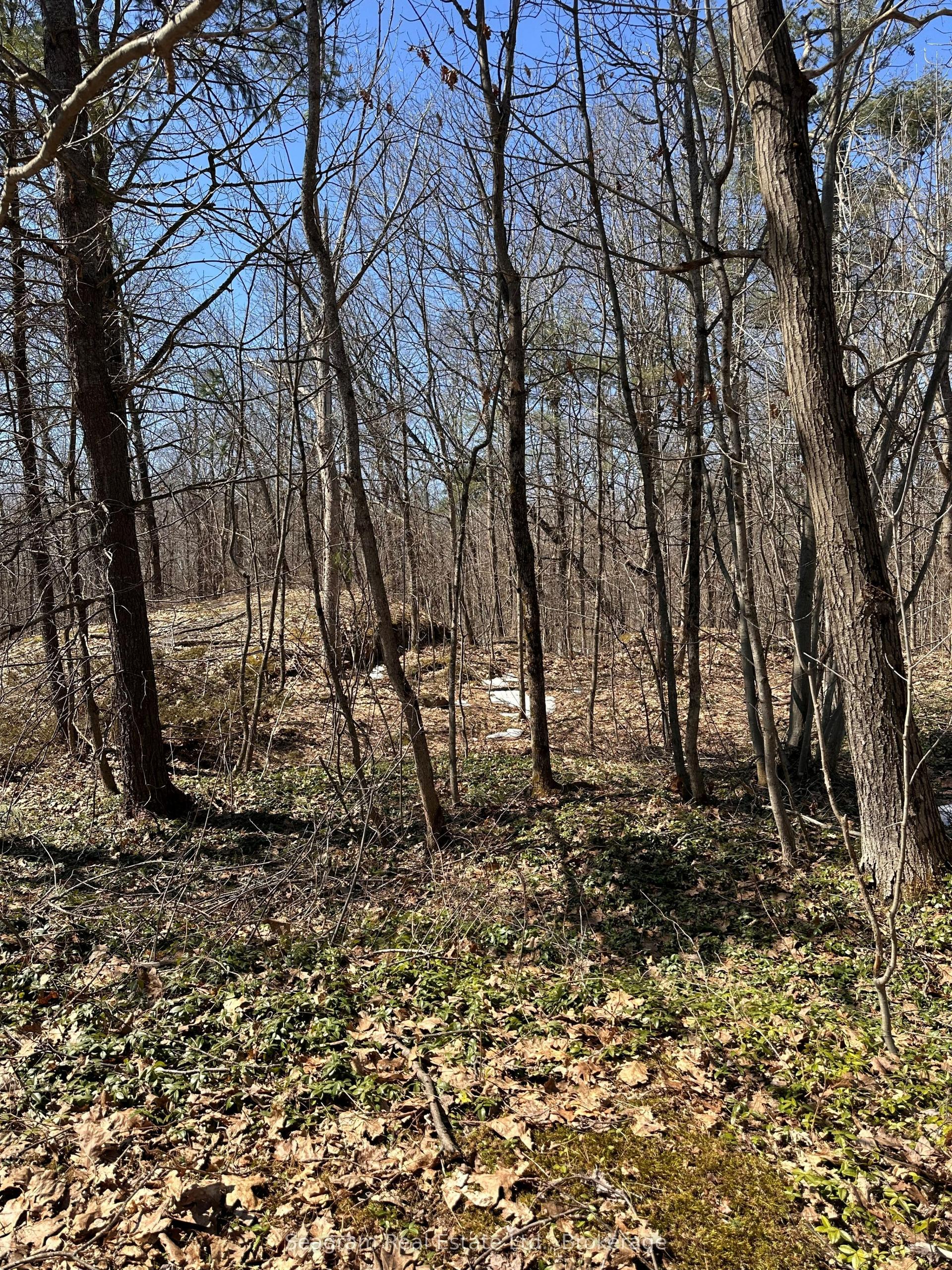 n/a n/a N/A — photo 1