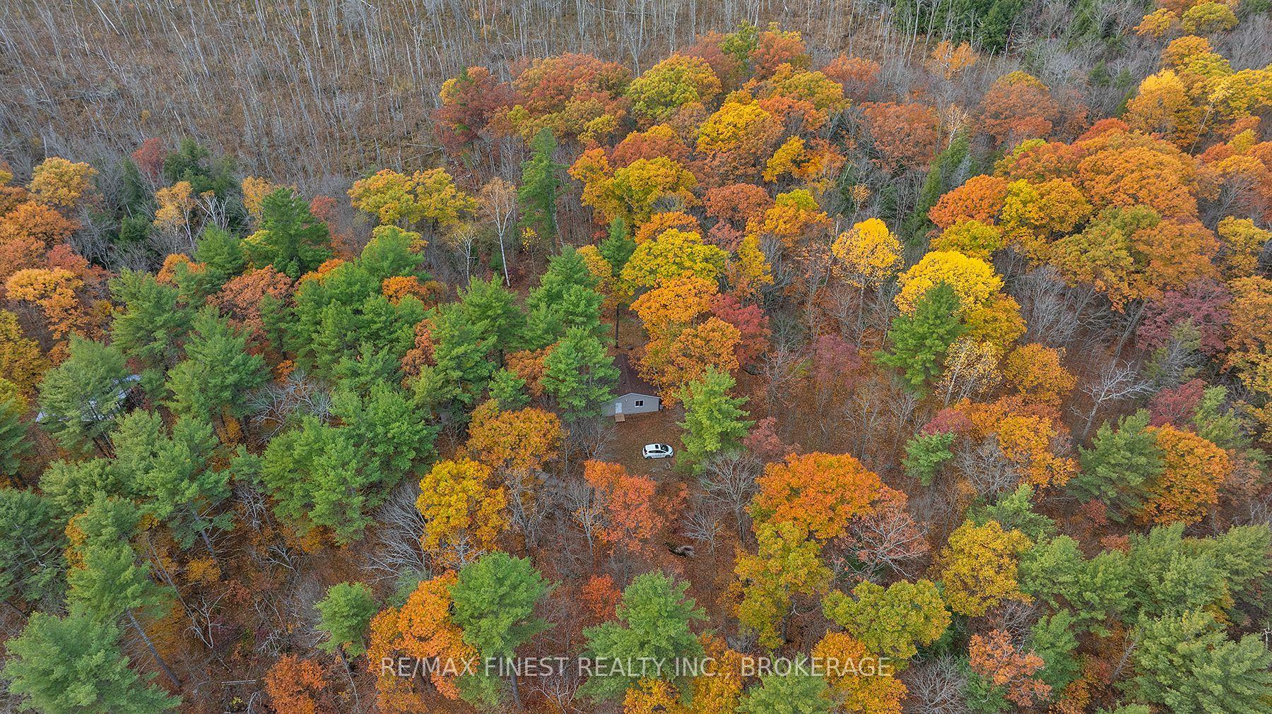 1131 Moon Road — photo 1