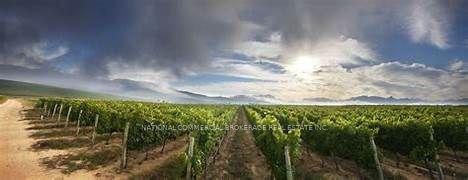 44-55 Niagara Stone Road N — photo 1