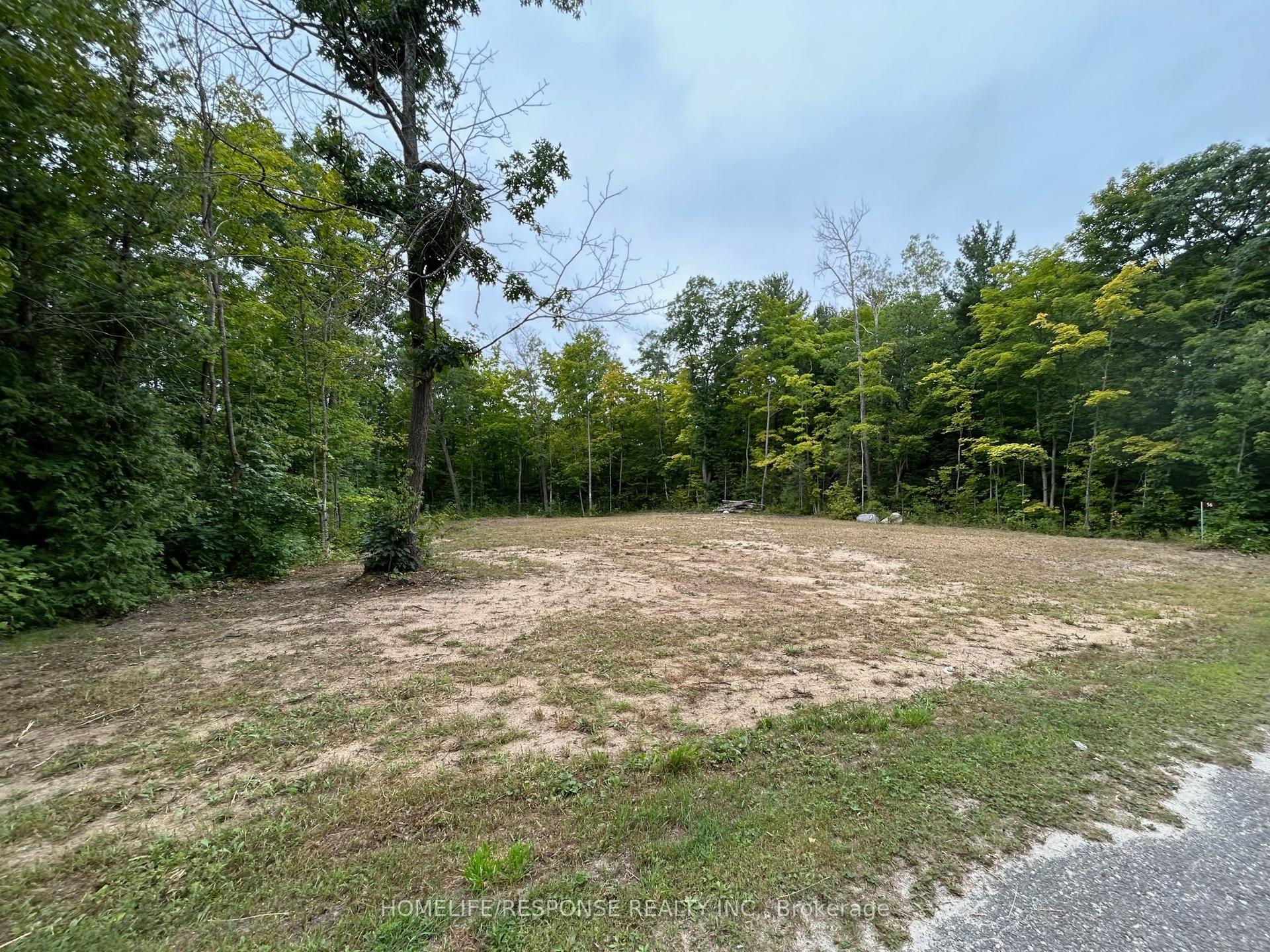 56 Poplar Drive W — photo 1