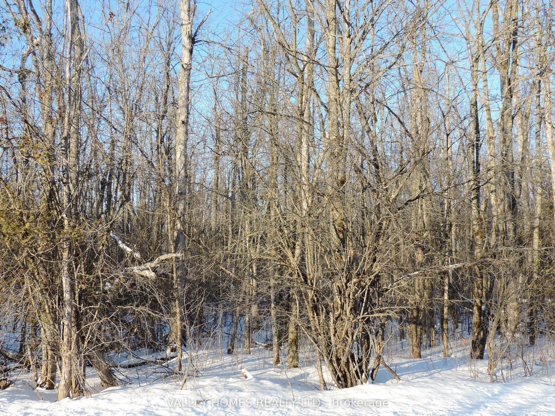 L1 -297 HARDING Road — photo 1