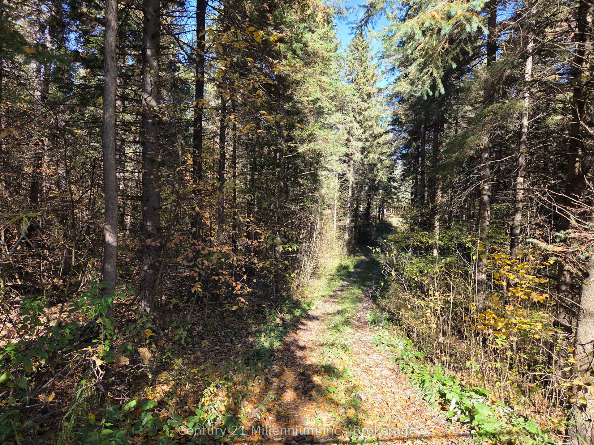 627383 15 Side Road — photo 1