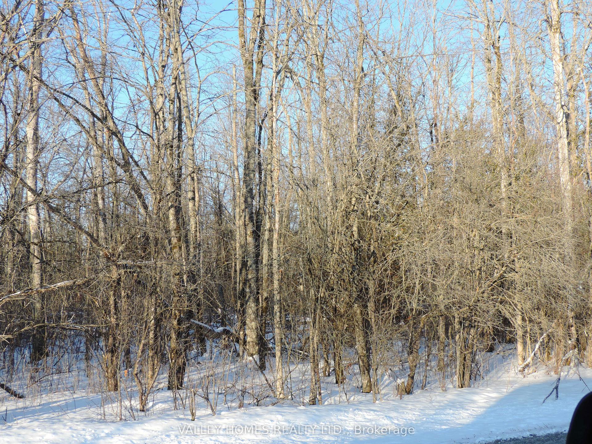 L2 -311 HARDING Road — photo 1