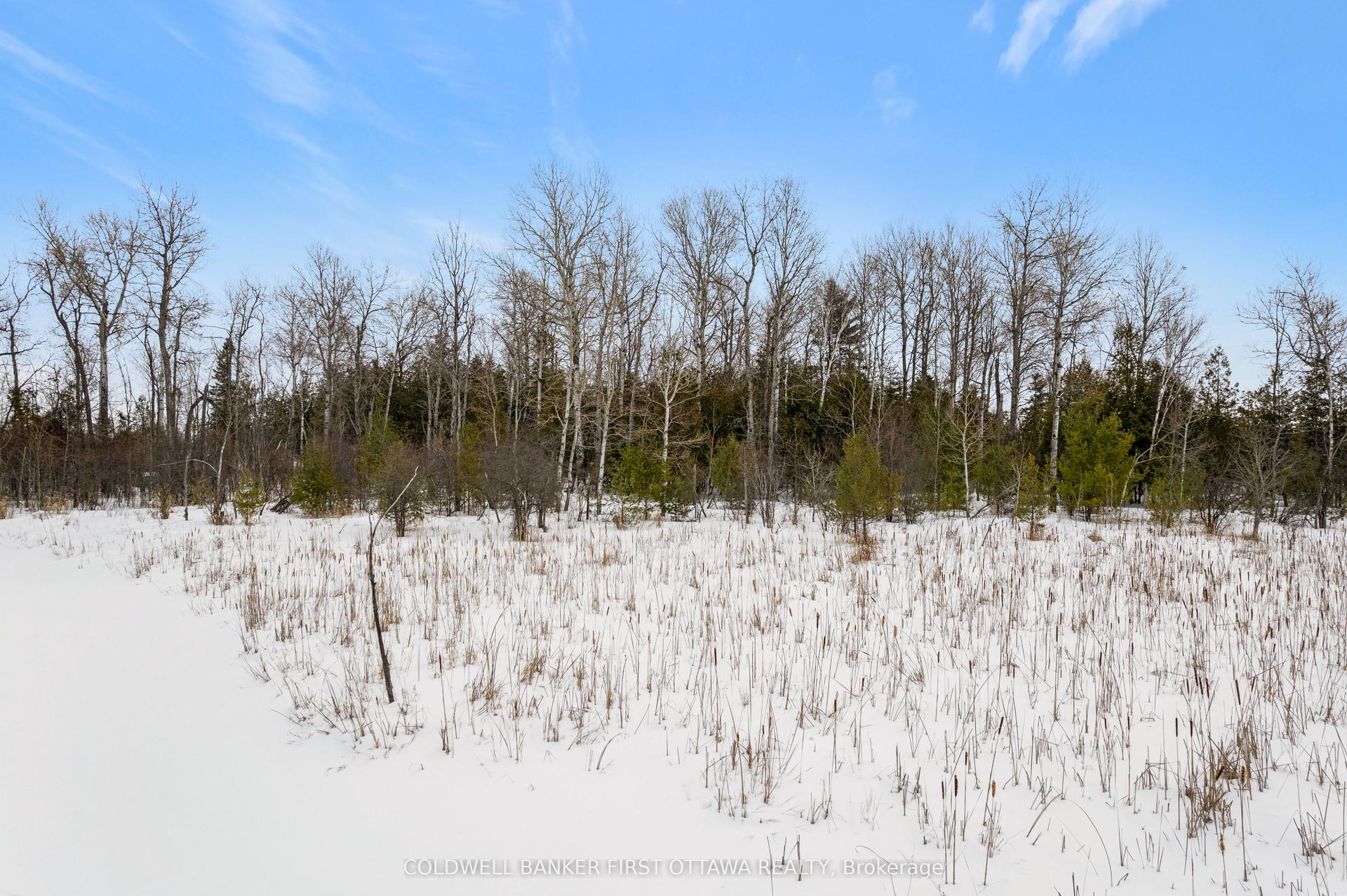 00 Wolf Grove Rd PT LT 16 Road — photo 1