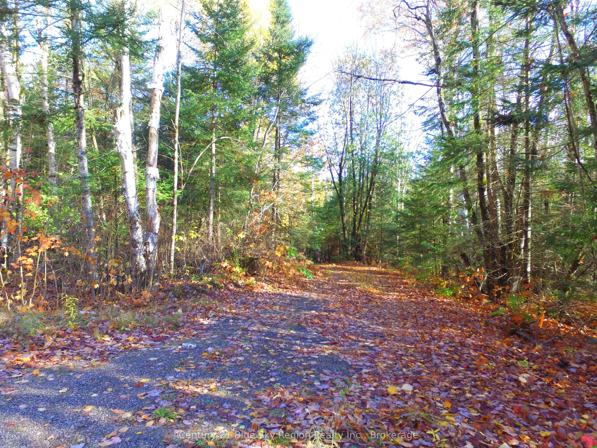 Pt Lt 2 Con 4 McFadden Line — photo 1